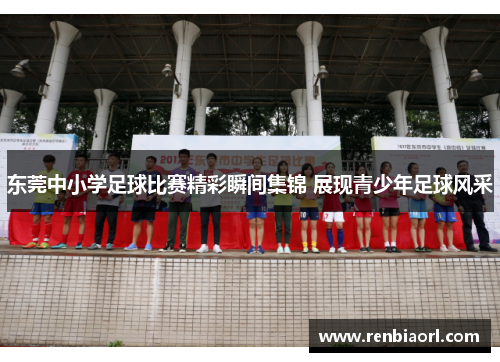 东莞中小学足球比赛精彩瞬间集锦 展现青少年足球风采
